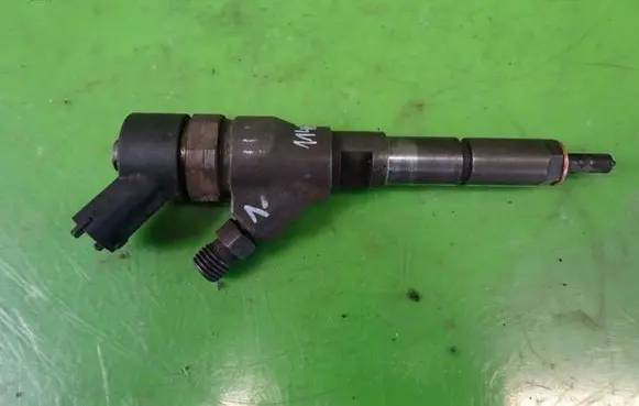 Citroen C5 Fuel injector 9641742880 0445110076
