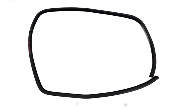 Dodge Charger Rear door rubber seal (on body) AL25592XTP006JJJJ4