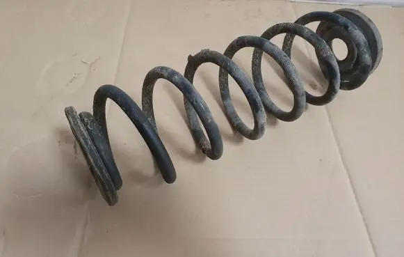 Rear coil spring