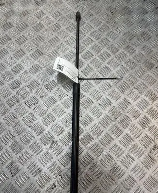 Opel Insignia A Tailgate/trunk strut/damper 315005777