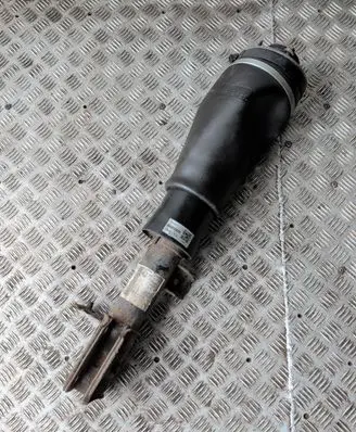Land Rover Range Rover L322 Air suspension front shock absorber 22248332 163145