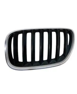 BMW X5 E53 Front bumper upper radiator grill 7124815