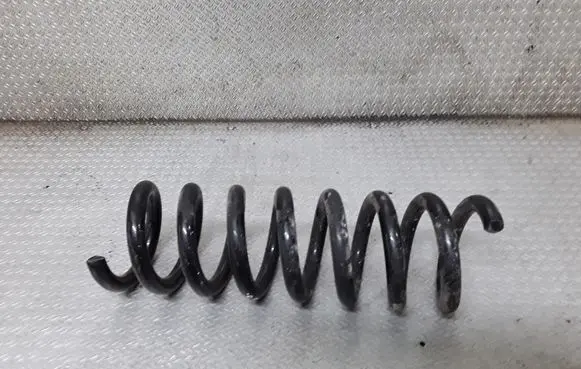 Rear coil spring