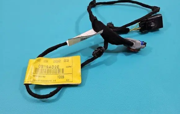 Rear door wiring loom