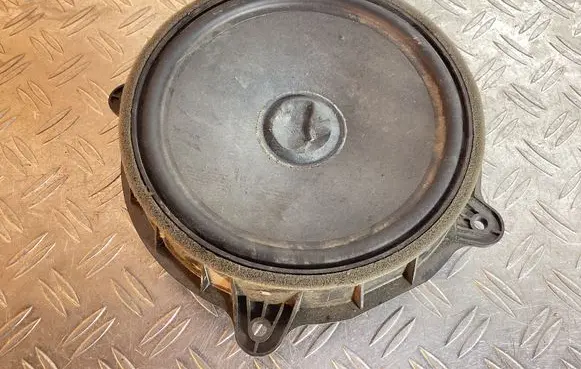 Front door speaker