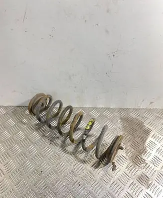Volkswagen PASSAT B6 Rear coil spring