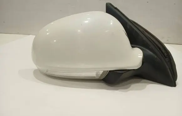 Volkswagen Golf VI Front door electric wing mirror E1010836