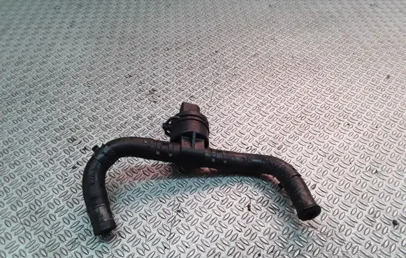 Seat Toledo III (5P) Fuel temperature sensor 038906081B
