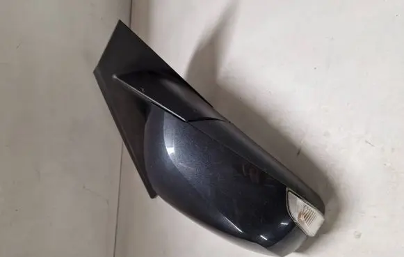 Renault Laguna III Front door electric wing mirror 205056