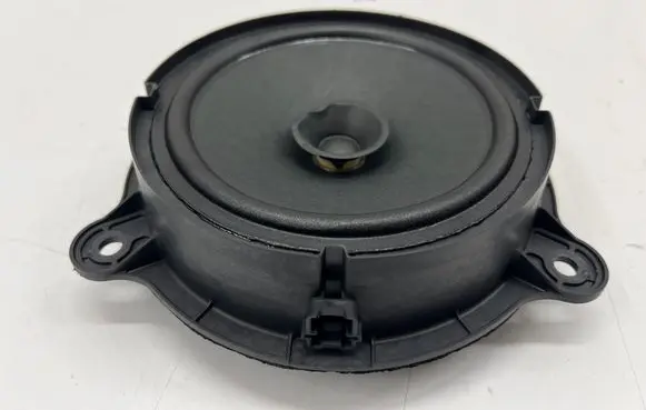 Rear door speaker