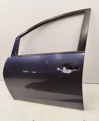 Mitsubishi Grandis Front door
