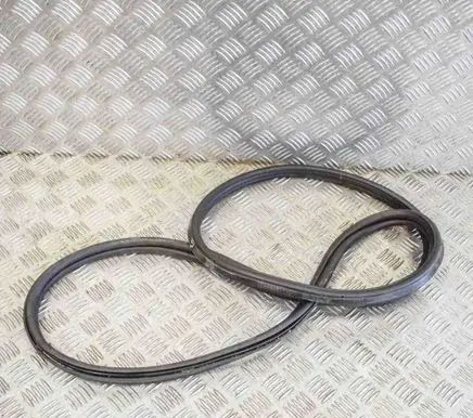 BMW 2 F22 F23 Trunk rubber seal (body) 7304538