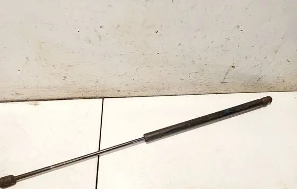 Tailgate/trunk strut/damper