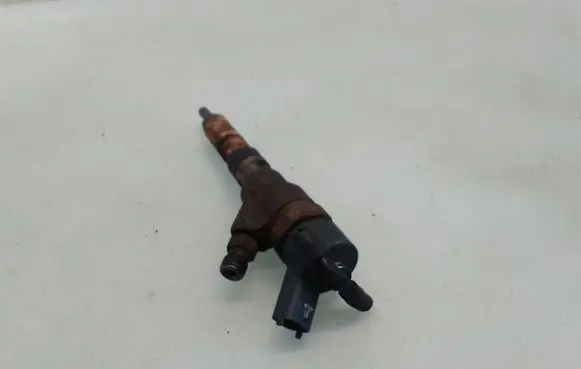 Peugeot 406 Fuel injector 0445110076