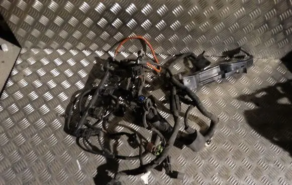 Audi A3 S3 8P Other wiring loom