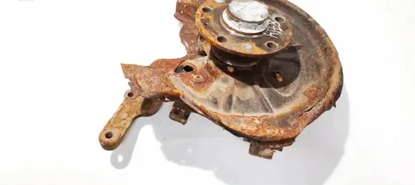 Volkswagen Golf Plus Rear wheel hub didzioji