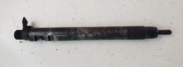 Ford S-MAX Fuel injector 9686191080