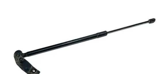 Tailgate/trunk strut/damper