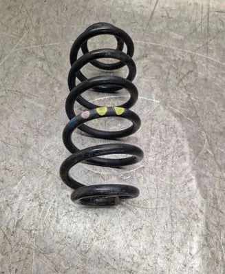 Rear coil spring