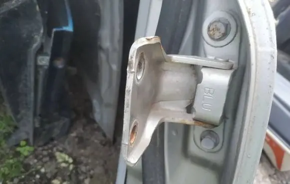 Rear door lower hinge