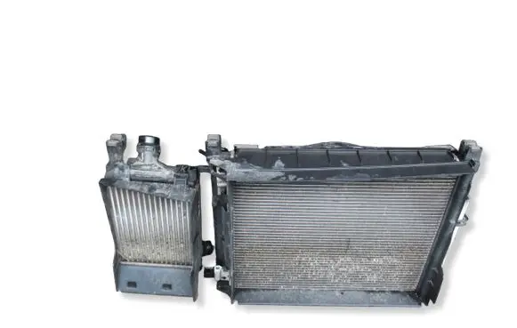 Dacia Lodgy Coolant radiator 21410868 214100078R