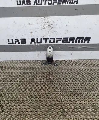 Hyundai ix35 Front door lower hinge 