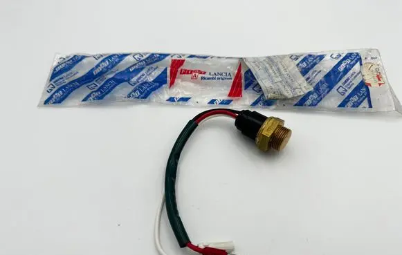 Fiat Ritmo Thermostat/thermostat housing 5977192