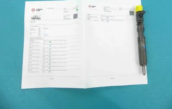 Renault Kangoo I Fuel injector EJBR02101Z IMPRK1285443