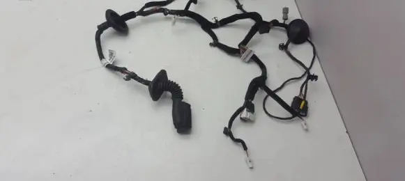 KIA Sorento Front door wiring loom 91600C5390F