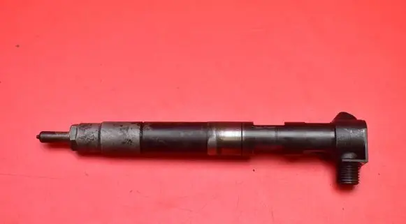 Jeep Compass Fuel injector A6510700587