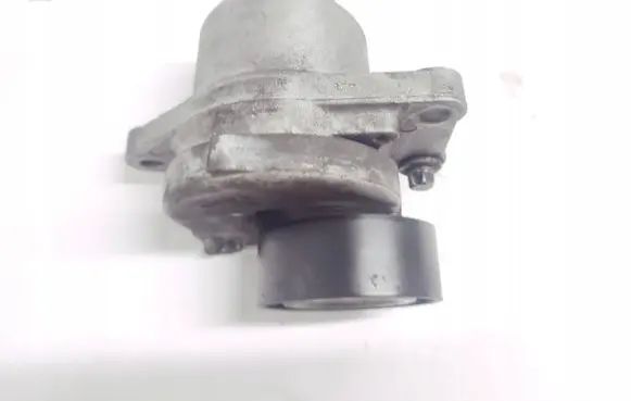Citroen C5 Timing belt tensioner 