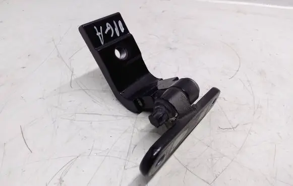 BMW 5 F10 F11 Rear door lower hinge 7185636