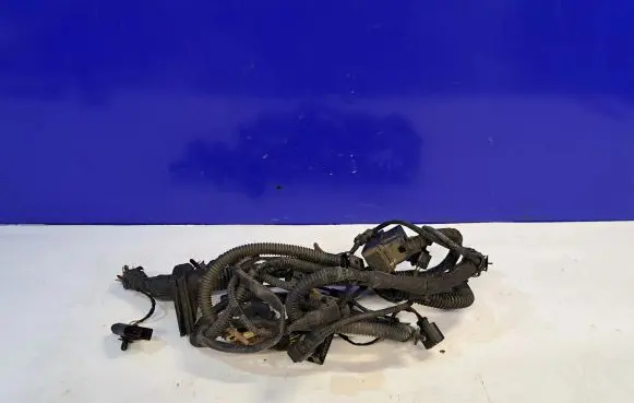 Porsche Cayenne (92A) Other wiring loom 1J0973722A