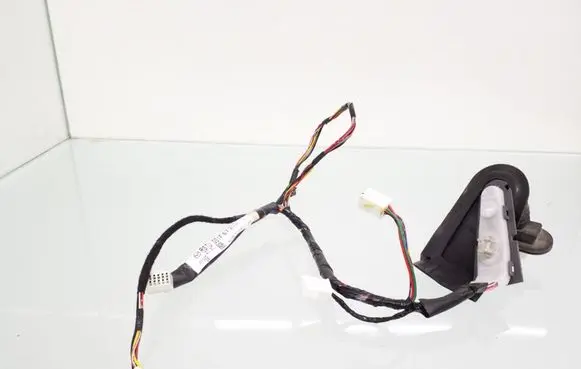 Rear door wiring loom