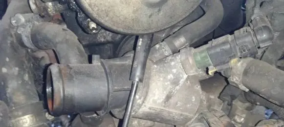 Fiat Croma Engine coolant pipe/hose
