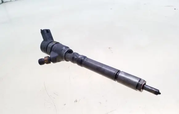 Hyundai Santa Fe Fuel injector 0445110064 3380027010