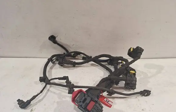 Renault Megane IV Gearbox/transmission wiring loom 2517256425