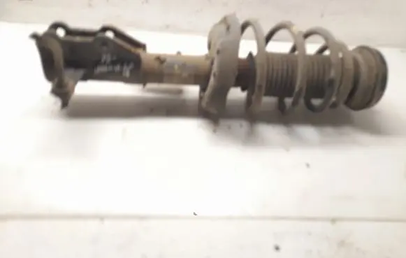 Opel Insignia A Front shock absorber with coil spring 13245967