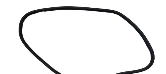 Ford Escape IV Front door rubber seal LJ6BS20708 LJ6BS20708CA C757E