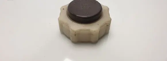 Renault Scenic I Coolant expansion tank/reservoir cap 