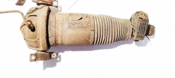 Rear shock absorber/damper