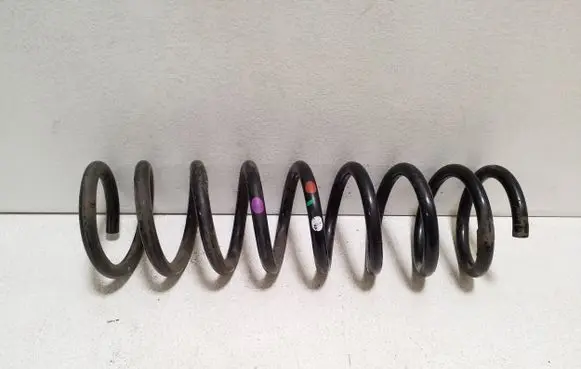 Ford Kuga II Rear coil spring