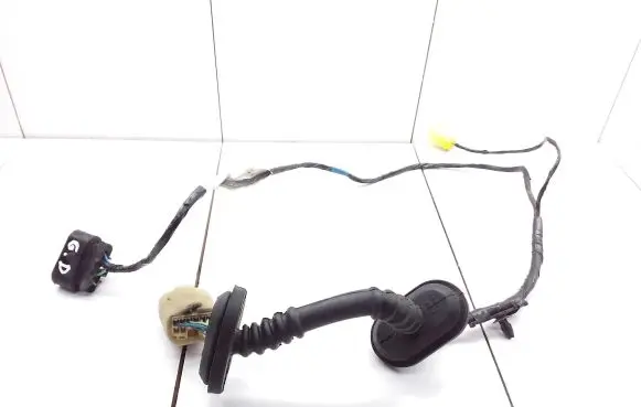 Smart ForFour I Rear door wiring loom A4545407205 MN164291K