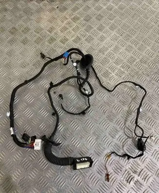 Front door wiring loom