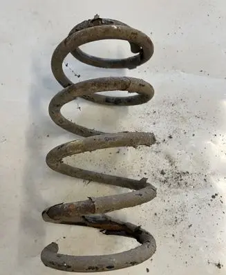 Rear coil spring