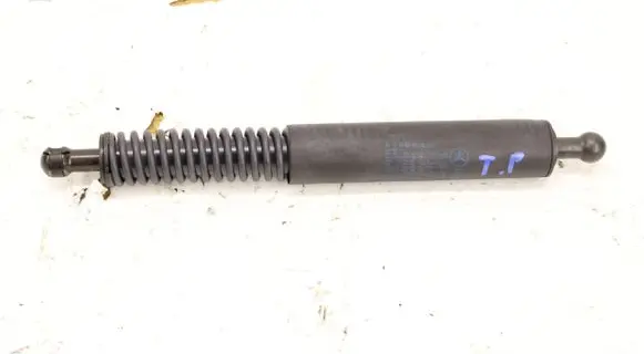 Tailgate strut