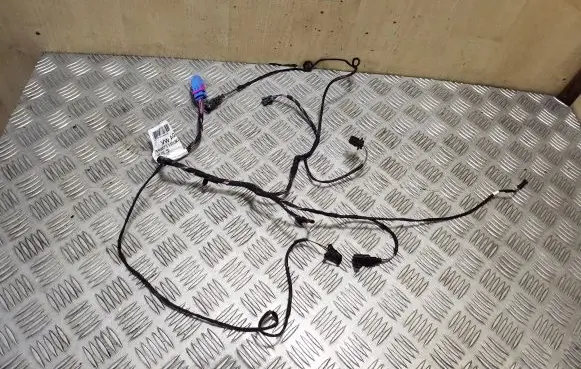 Porsche Cayenne (92A) Front door wiring loom 7P5971121BQ