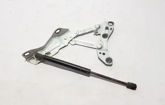Tesla Model X Engine bonnet/hood hinges 1058042