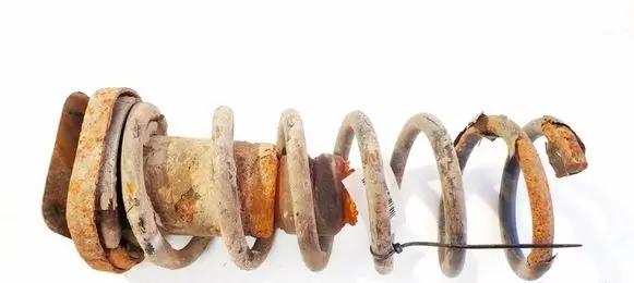 Ford S-MAX Rear coil spring
