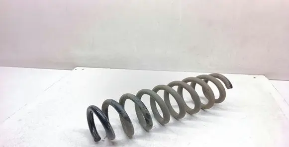 Rear coil spring
